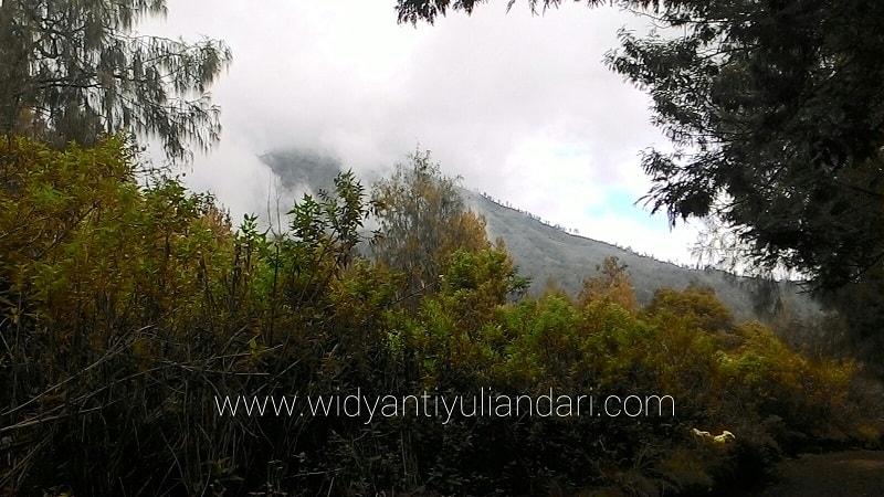 pemandangan alam di kawah ijen