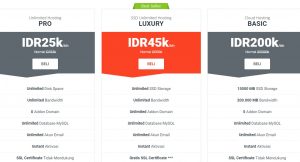 Paket hosting unlimited Ardetamedia