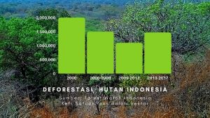 laju-deforestasi-hutan-indonesia