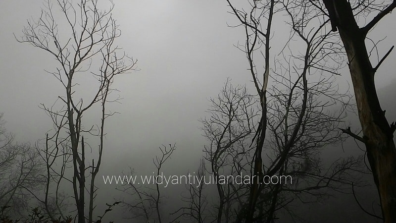 Kabut di gunung Ijen