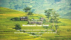 pesona sawah berundak di bali