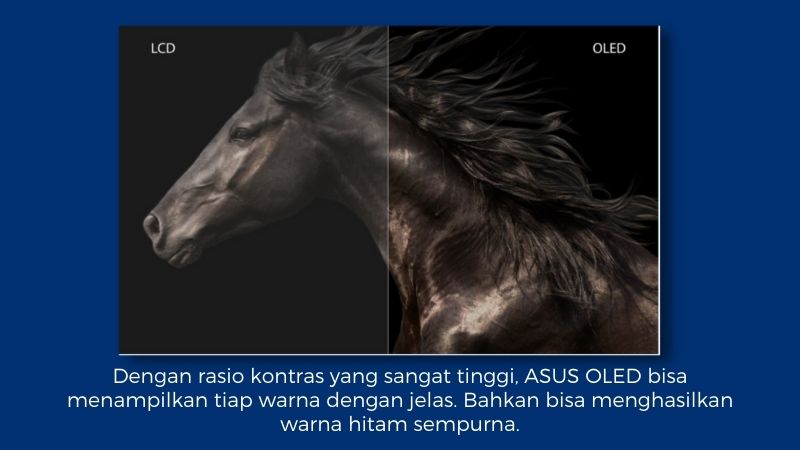 Grafik rasio kontras ASUS OLED