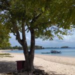 Tertipu Pesona Pink Beach Lombok: Not Really Pink But Still Loved