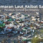 sampah di laut